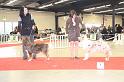 PDS - 0421
